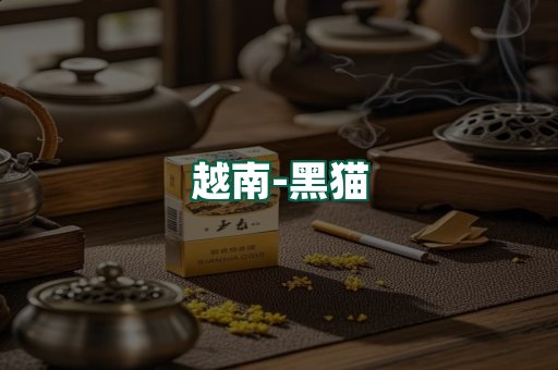 越南黑猫